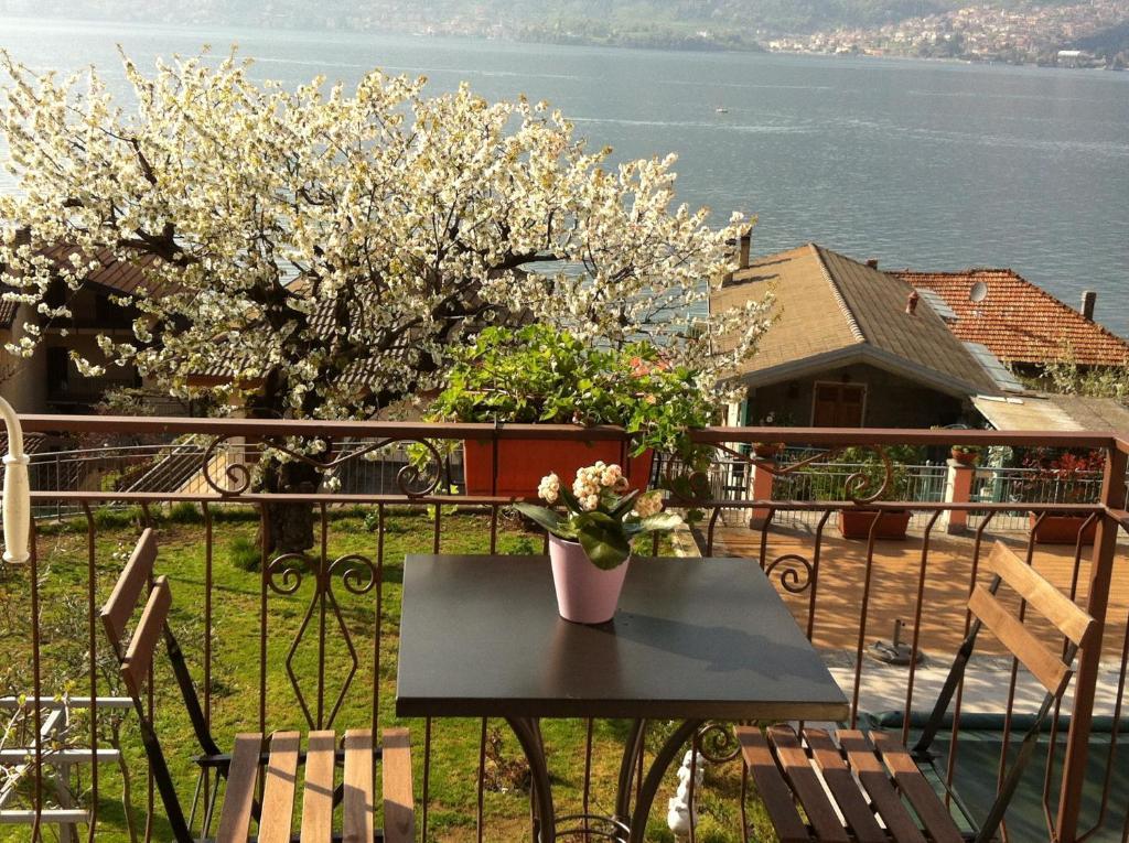 B&B Cherry En Rose Lezzeno Exteriér fotografie